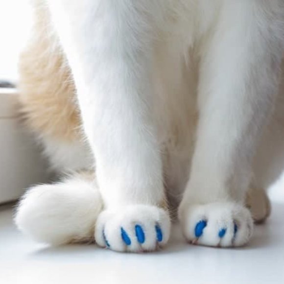 NIB SoftClaws (SoftPAWS) for Cats in CLEAR - Picture 2 of 11